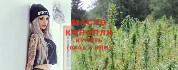 тгк Михайлов