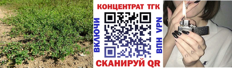 Дистиллят ТГК Wax  Севастополь 